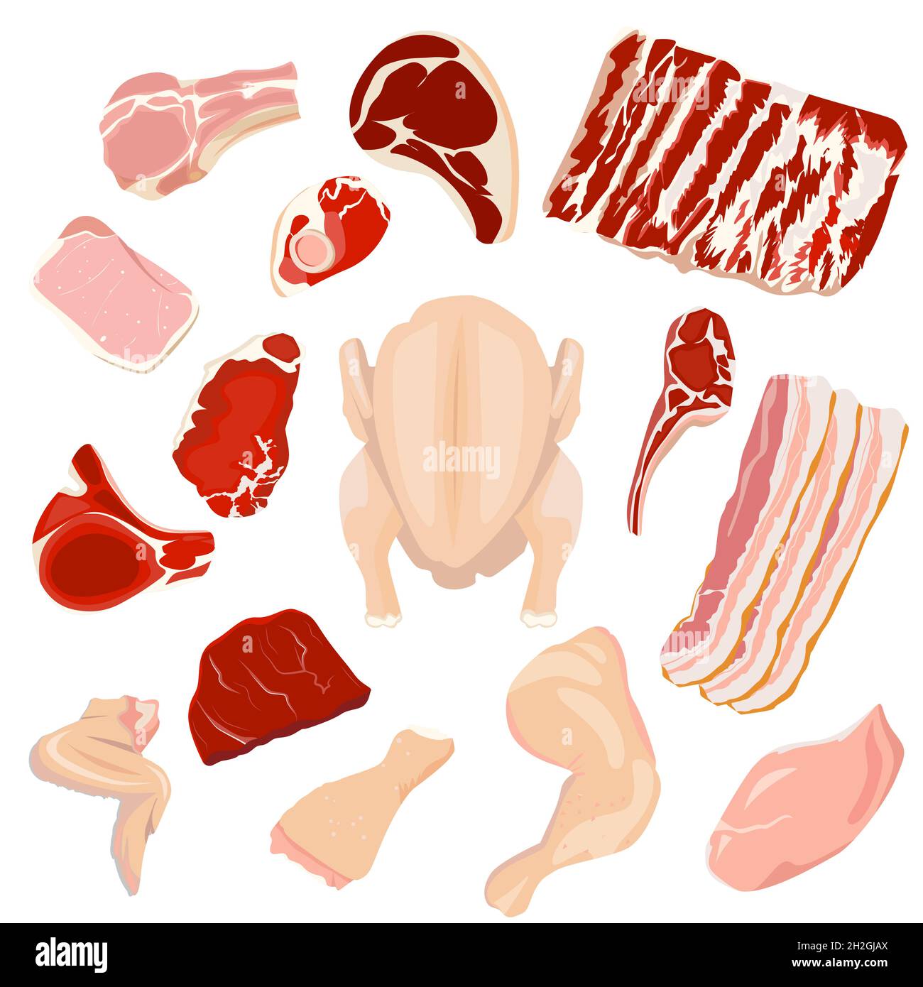 Carni macinate, bistecche, prosciutto, pancetta di maiale, manzo e agnello, pollo, tacchino. Prodotti sul banco del macellaio. Illustrazione Vettoriale