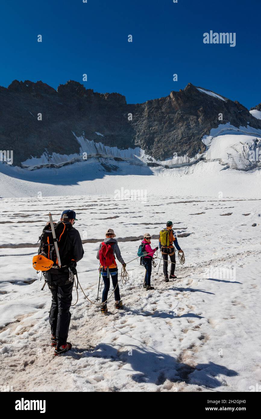 HAUTES-ALPES (05), PARCO NAZIONALE ECRINS, LA GRAVE, LA MEIJE, LE CHATEAU, PIC DE LA GRAVE, GHIACCIAIO GIROSE, SCOPERTA DEL GHIACCIAIO CON CHRISTOPHE DUREAU, MOU Foto Stock