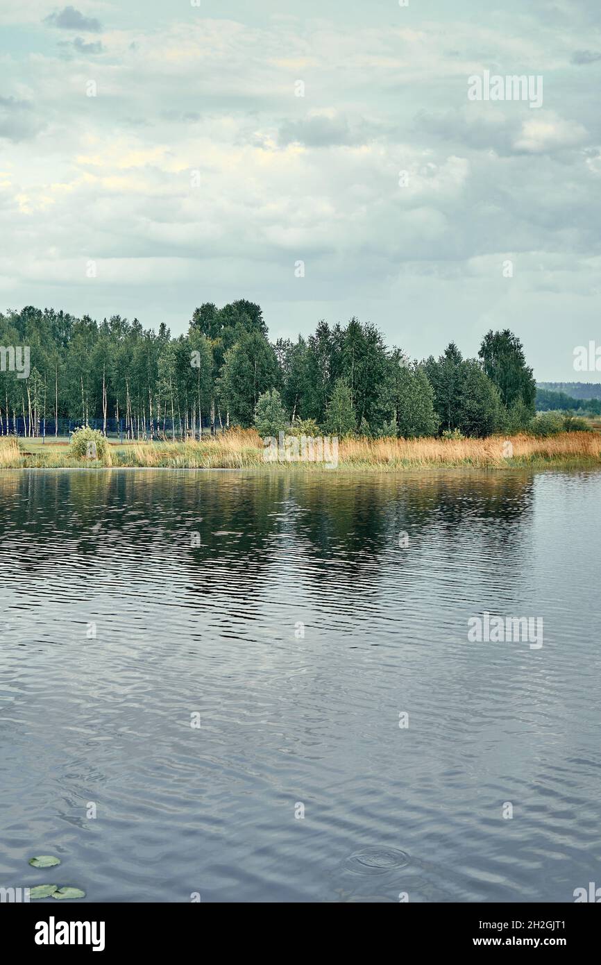 Pittoresco lago tranquillo con erba verde e asciutta sulle rive contro la foresta sotto il cielo con le nuvole pesanti Foto Stock