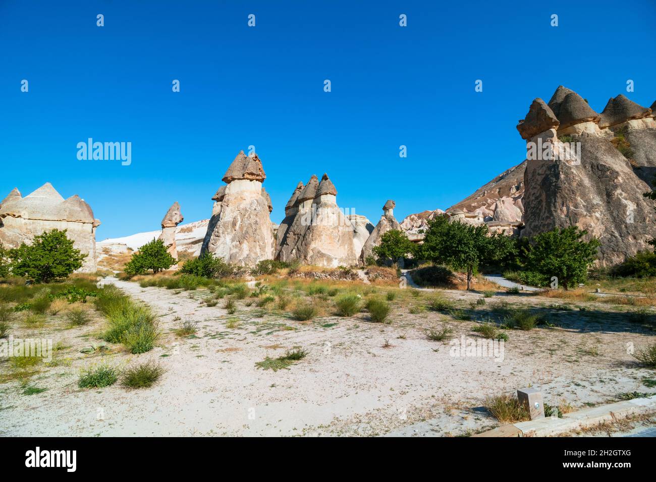 Vista del Museo all'aperto di Pasabagi in Cappadocia Nevsehir Turchia Foto Stock