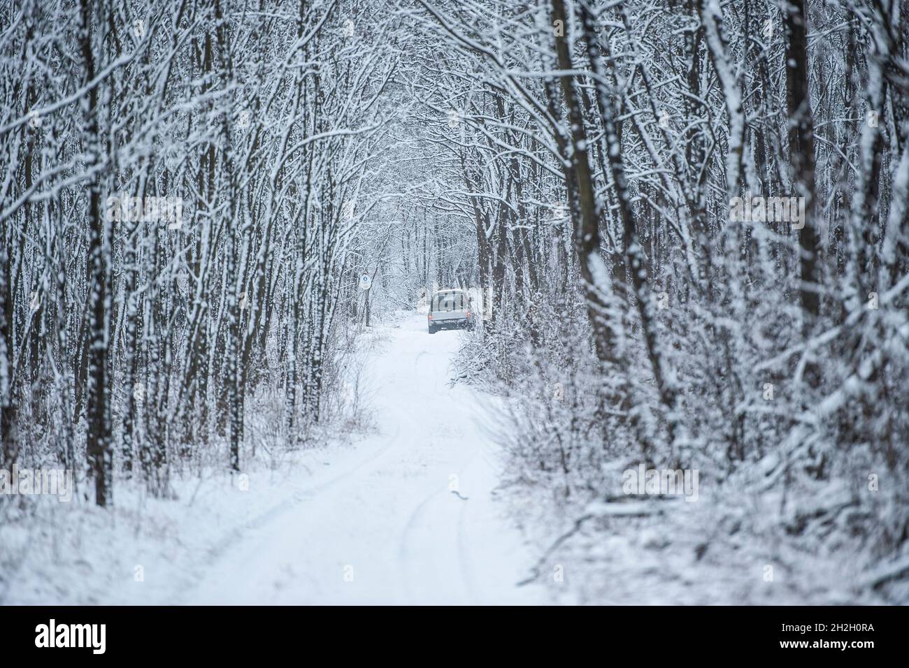 auto che lotta nella neve Foto Stock
