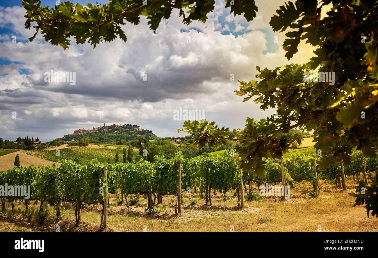 Una vista sul vino vive in una vecchia città italiana Foto Stock