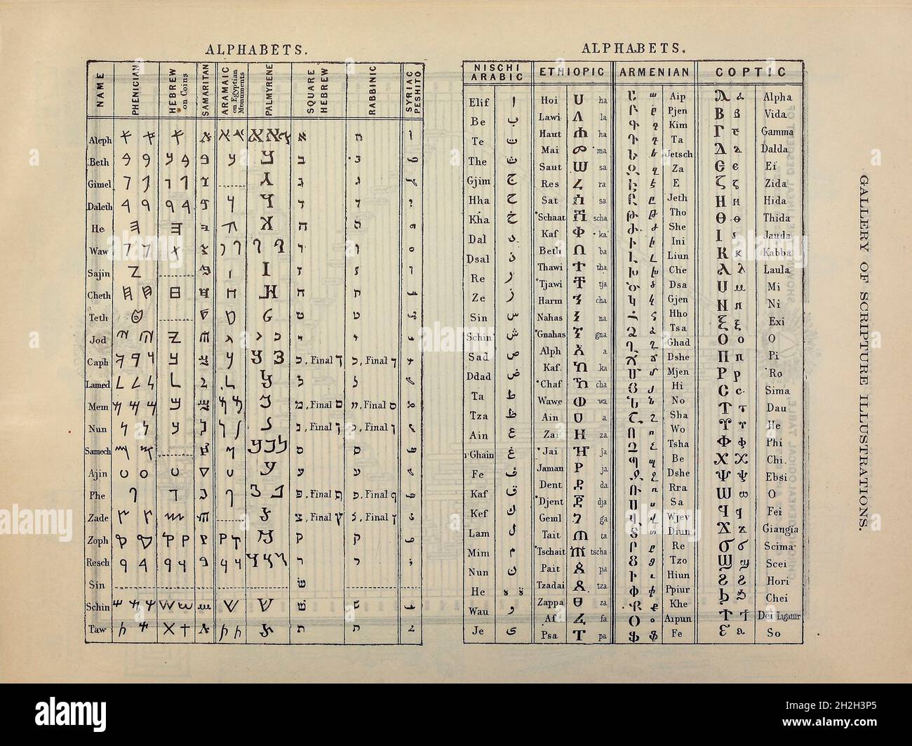 Galleria delle Scritture illustrazioni degli alfabeti antichi della 'Bibbia della famiglia Doré' contenente l'Antico e il nuovo Testamento, l'Apocrifa abbellita con belle incisioni a pagina intera, illustrazioni e la Galleria della Bibbia di Dore. Pubblicato a Philadelphia da William T. Amies nel 1883 Foto Stock