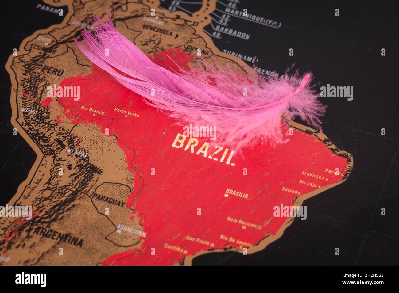 Luogo Brasile. Puntina rossa e piuma d'uccello sulla mappa. Puntina rivolta. Foto Stock