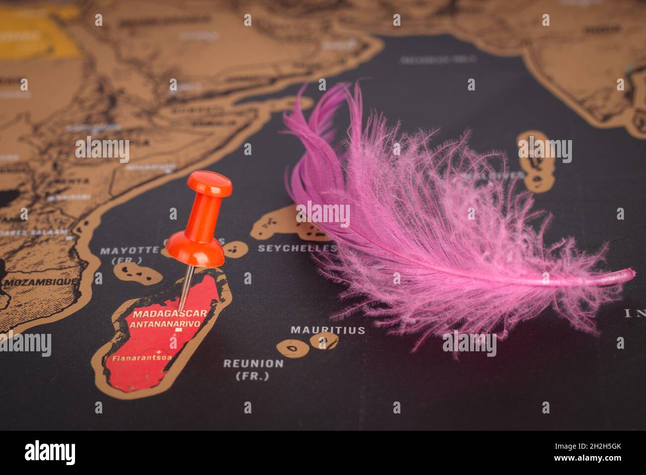 Luogo Madagascar. Puntina rossa e piuma rosa sulla mappa. Primo piano, concetto di viaggio Foto Stock