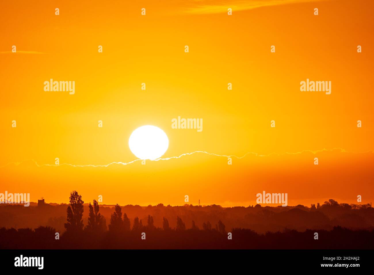 Alba. Palla bianca brillante del sole che emerge in un cielo giallo da dietro uno strato di cumulo mediocris nube steso lungo l'orizzonte. Orizzonte basso nella cornice del paesaggio di campagna del Kent con alcuni alberi che si attacchino in primo piano. Foto Stock