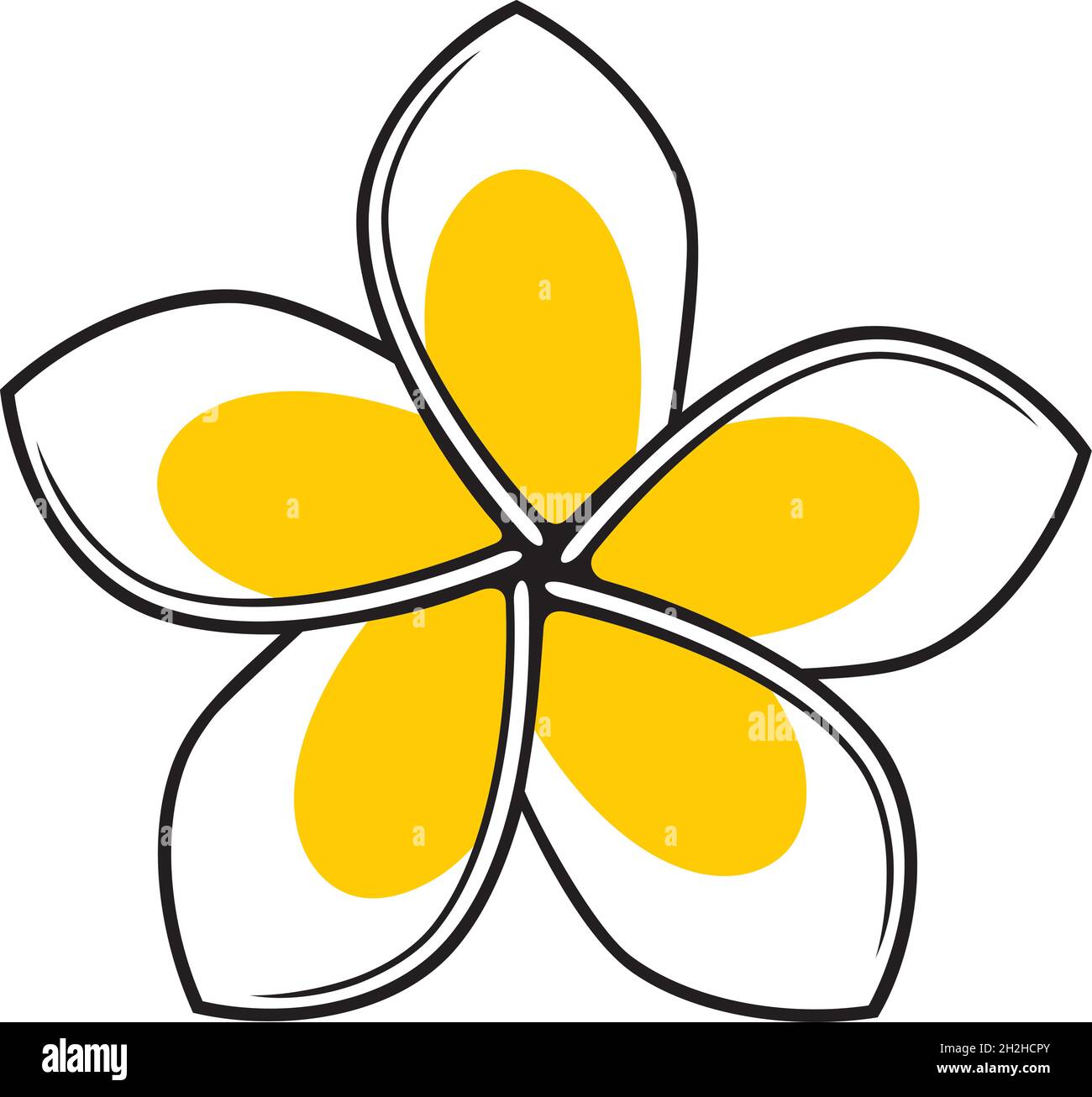Illustrazione vettoriale del colore del fiore Frangipani Illustrazione Vettoriale