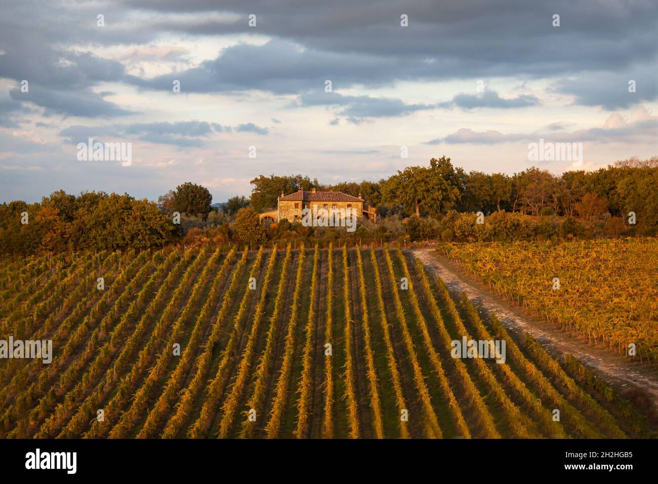 Chianti vigneto paesaggio con casa in pietra in Toscana, Italia, Europa al tramonto. Foto Stock