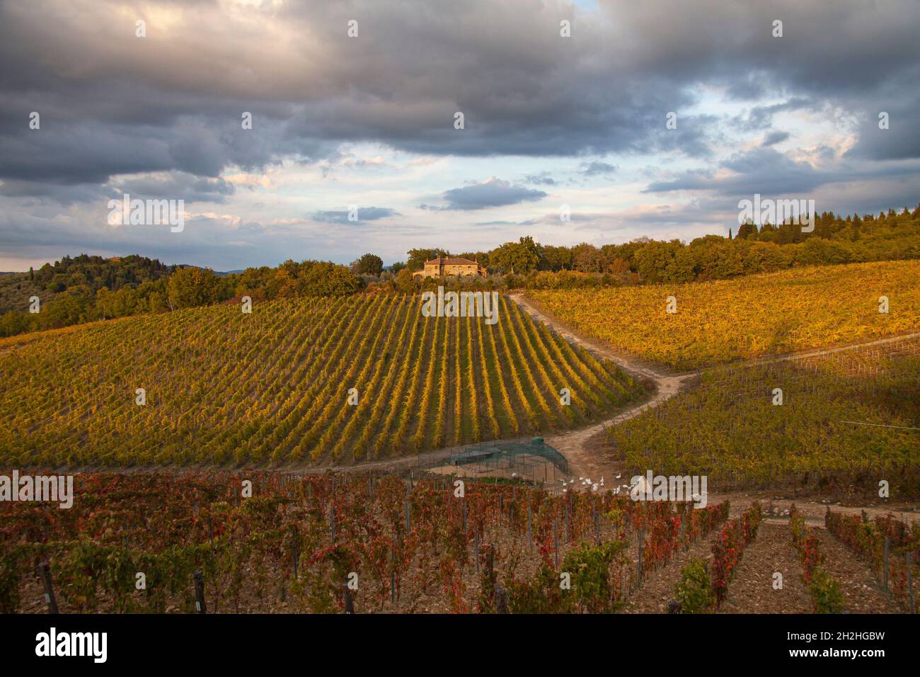 Chianti vigneto paesaggio con casa in pietra in Toscana, Italia, Europa al tramonto. Foto Stock