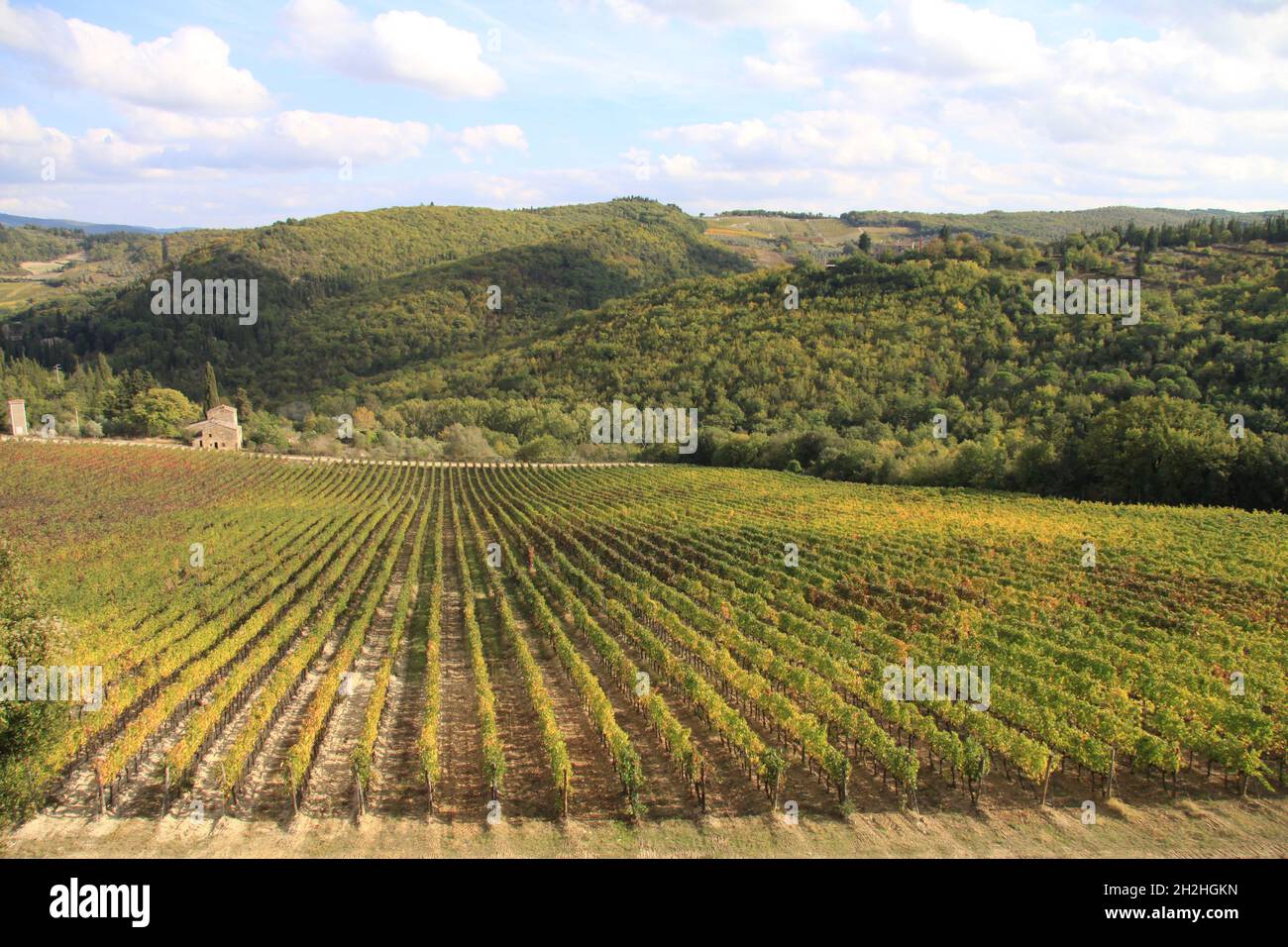 Chianti vigneto paesaggio con casa in pietra in Toscana, Italia, Europa al tramonto. Foto Stock