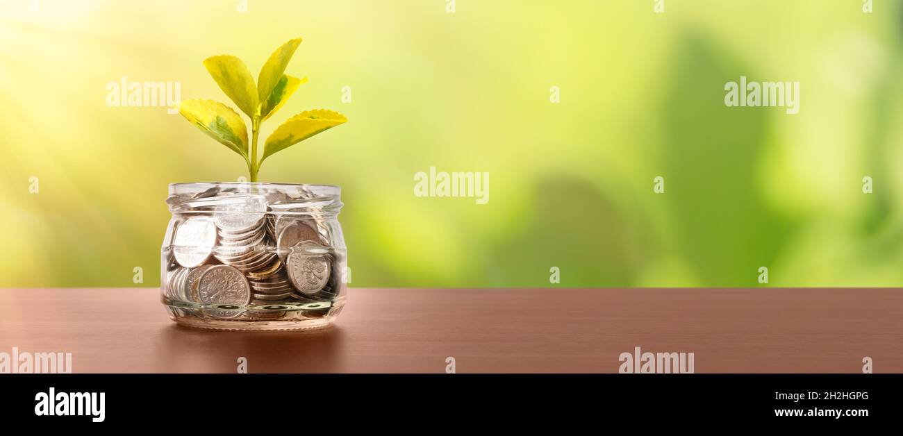 Vaso con monete. Germoglio di pianta cresce nel vaso del frullatore. Bilancio, risparmiando denaro concetto con copia spazio per banner web Foto Stock