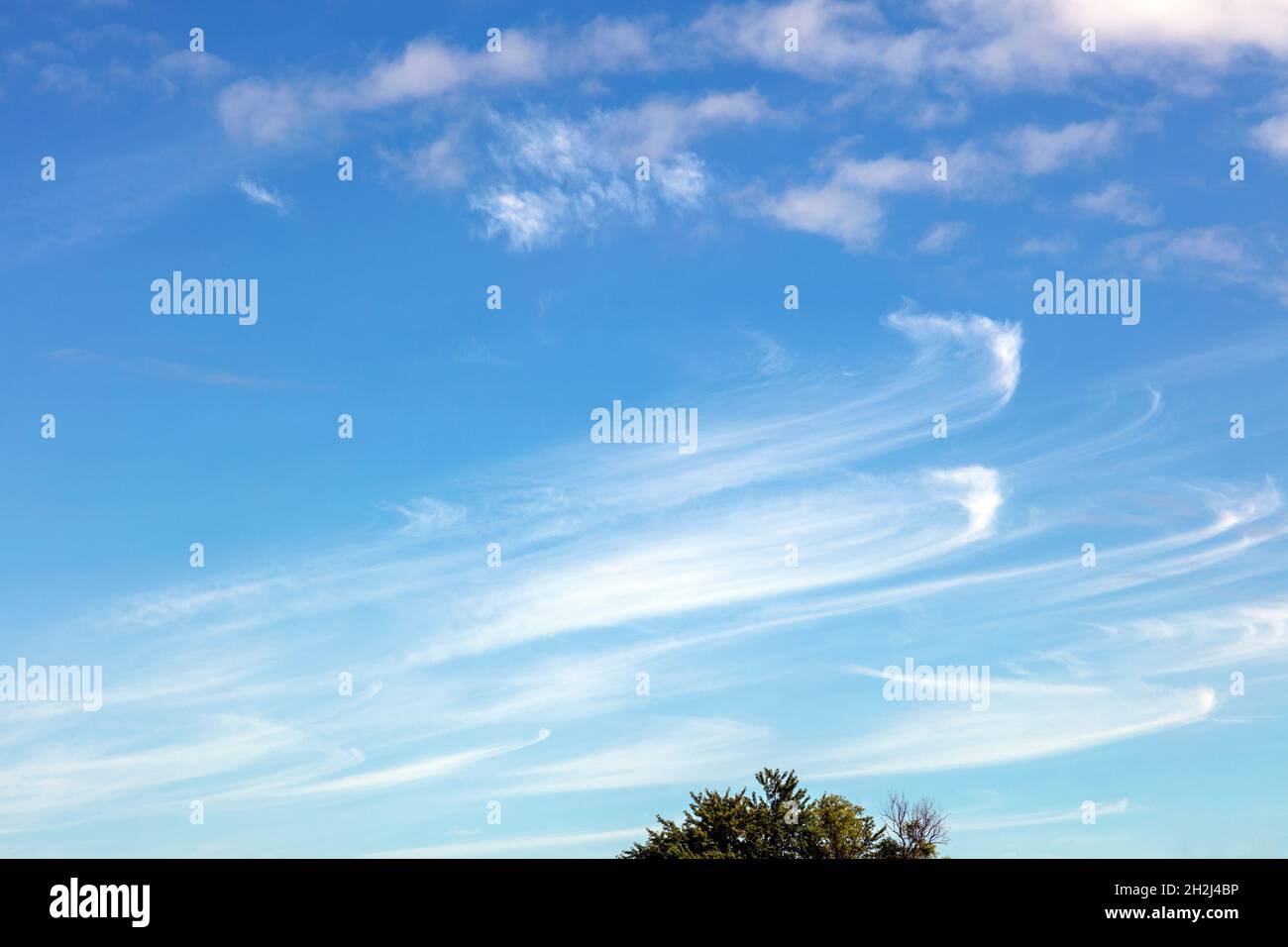 Cirrus, o le nuvole del tempo equo, Midwestern USA, di James D Coppinger/Dembinsky Photo Assoc Foto Stock