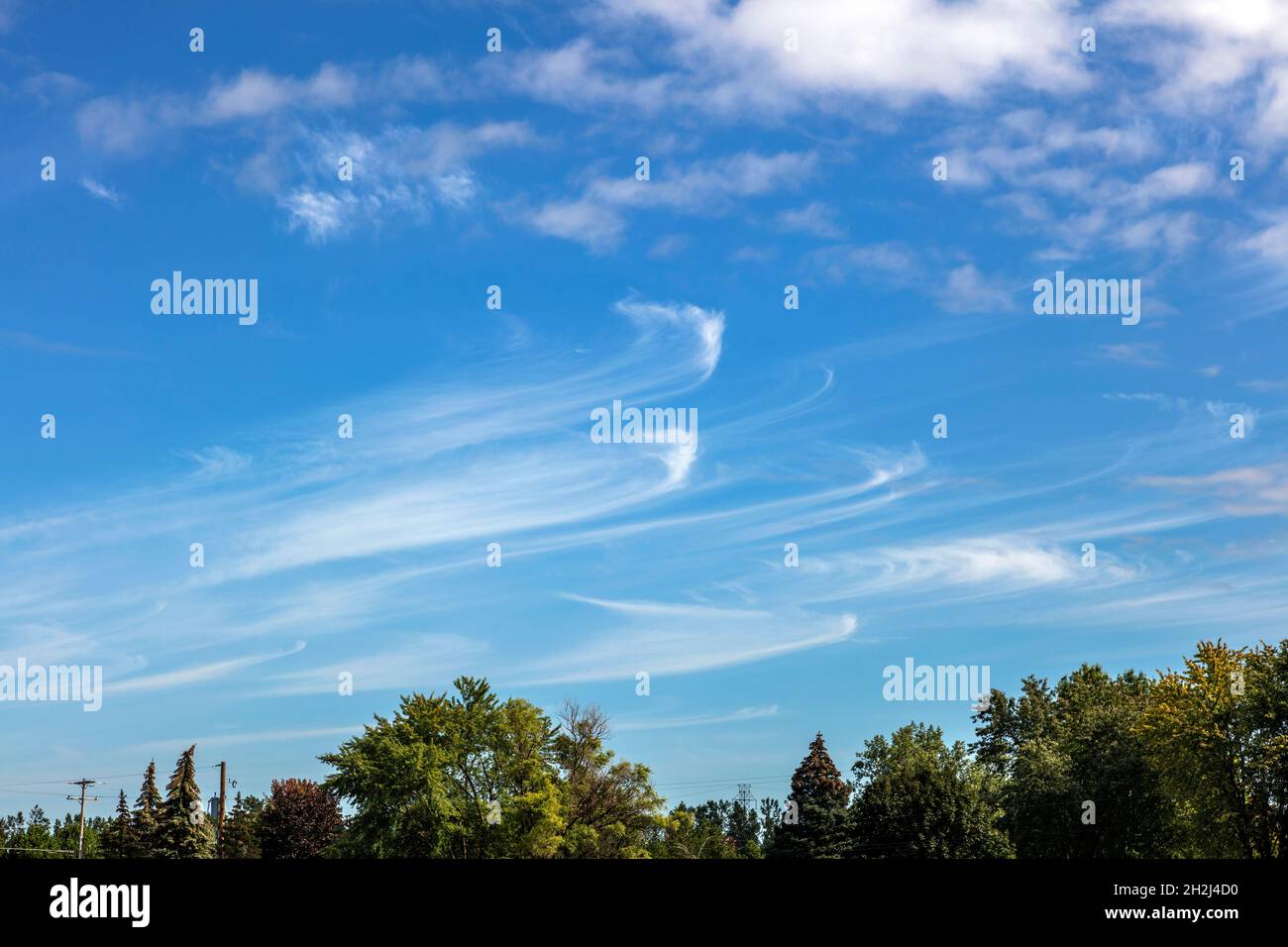 Cirrus, o le nuvole del tempo equo, Midwestern USA, di James D Coppinger/Dembinsky Photo Assoc Foto Stock