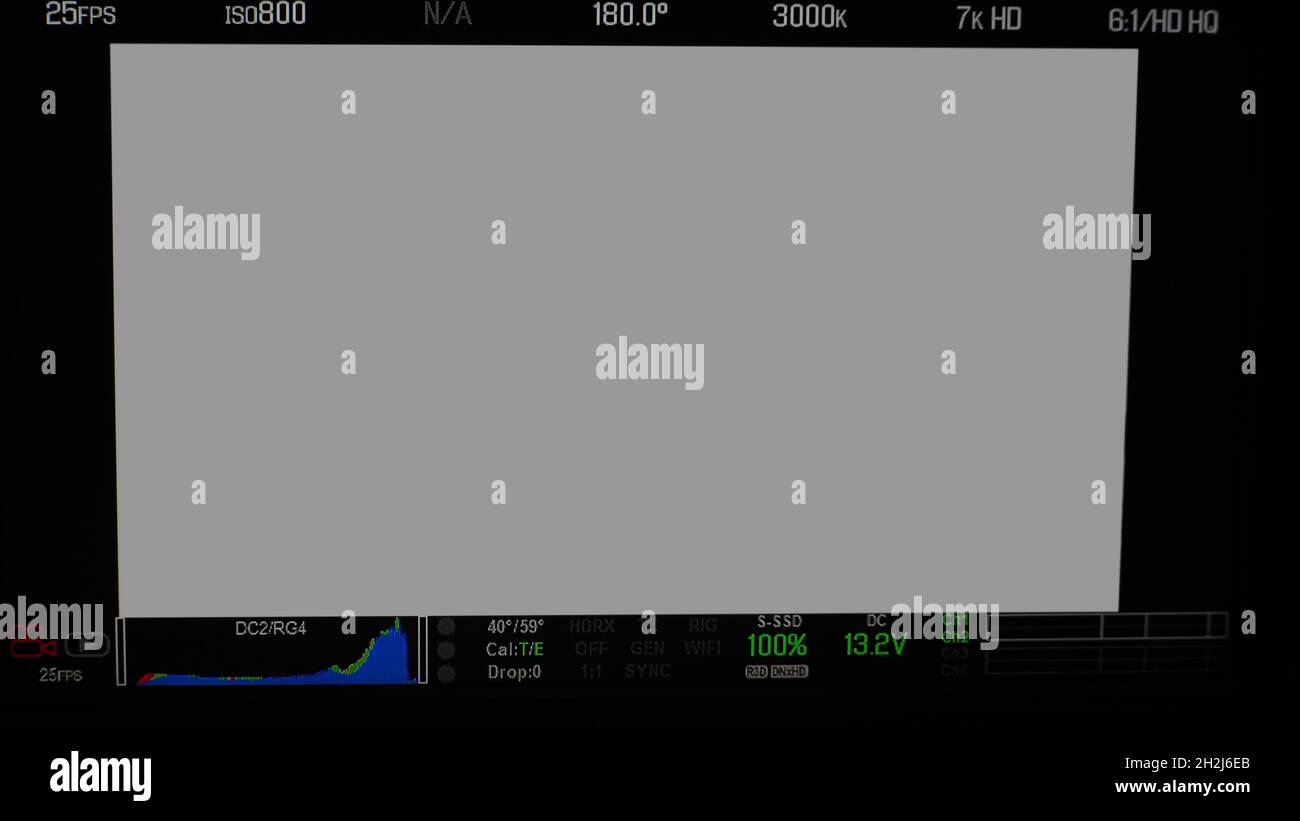Schermata di registrazione video. Inquadratura del mirino professionale della fotocamera sullo schermo del monitor. Schermata che mostra lo stato del grafico a colori rosso verde blu FPS e numero ISO Foto Stock