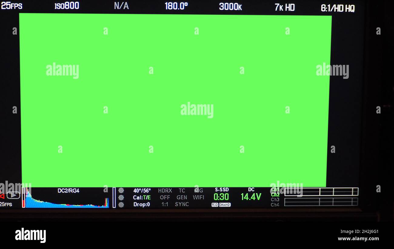 Schermata di registrazione video. Inquadratura del mirino professionale della fotocamera sullo schermo del monitor. Schermata che mostra lo stato del grafico a colori rosso verde blu FPS e numero ISO Foto Stock