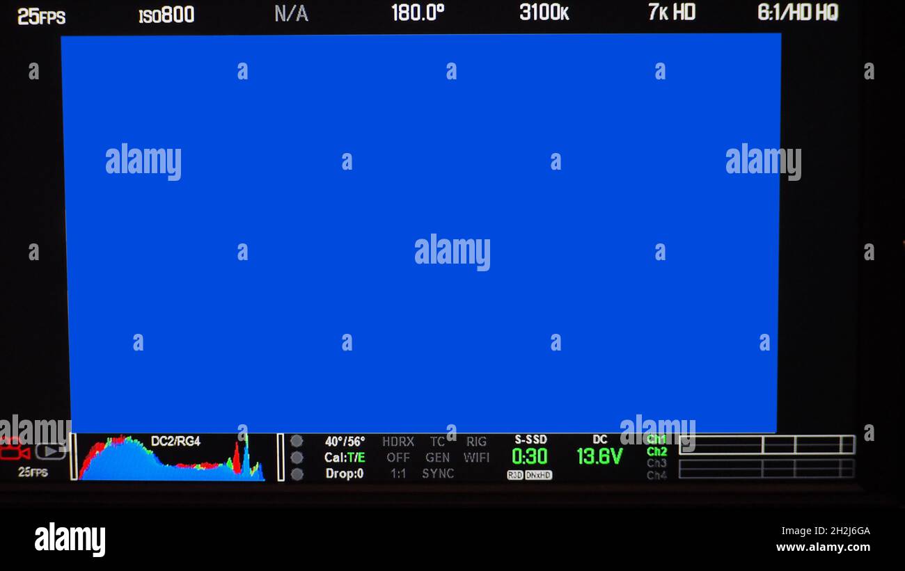 Schermata di registrazione video. Inquadratura del mirino professionale della fotocamera sullo schermo del monitor. Schermata che mostra lo stato del grafico a colori rosso verde blu FPS e numero ISO Foto Stock