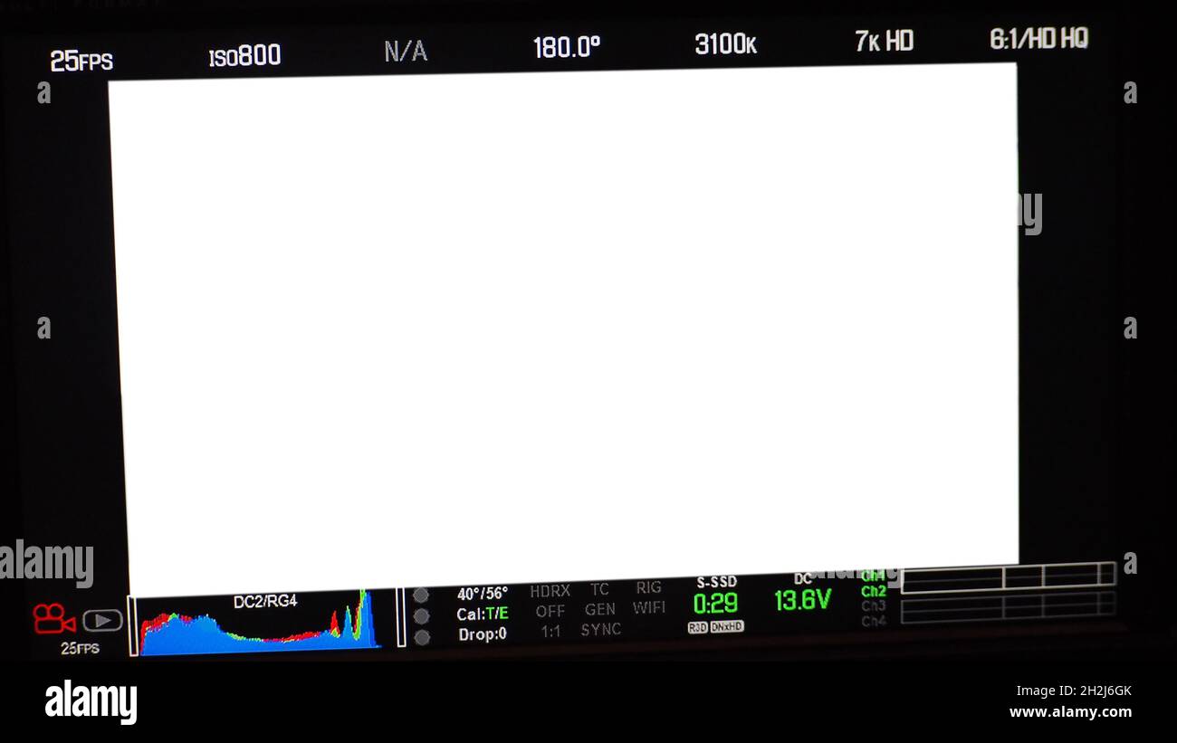 Schermata di registrazione video. Inquadratura del mirino professionale della fotocamera sullo schermo del monitor. Schermata che mostra lo stato del grafico a colori rosso verde blu FPS e numero ISO Foto Stock