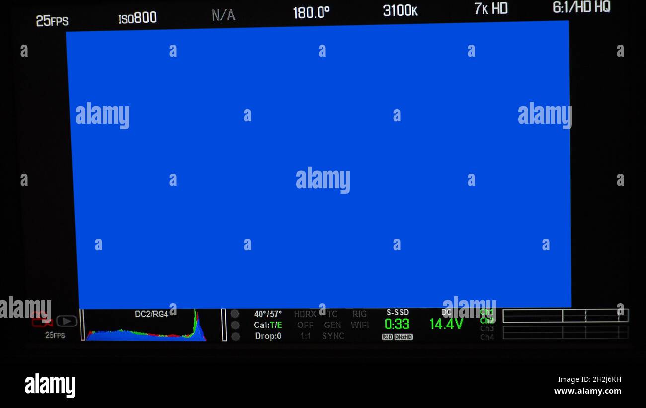 Schermata di registrazione video. Inquadratura del mirino professionale della fotocamera sullo schermo del monitor. Schermata che mostra lo stato del grafico a colori rosso verde blu FPS e numero ISO Foto Stock