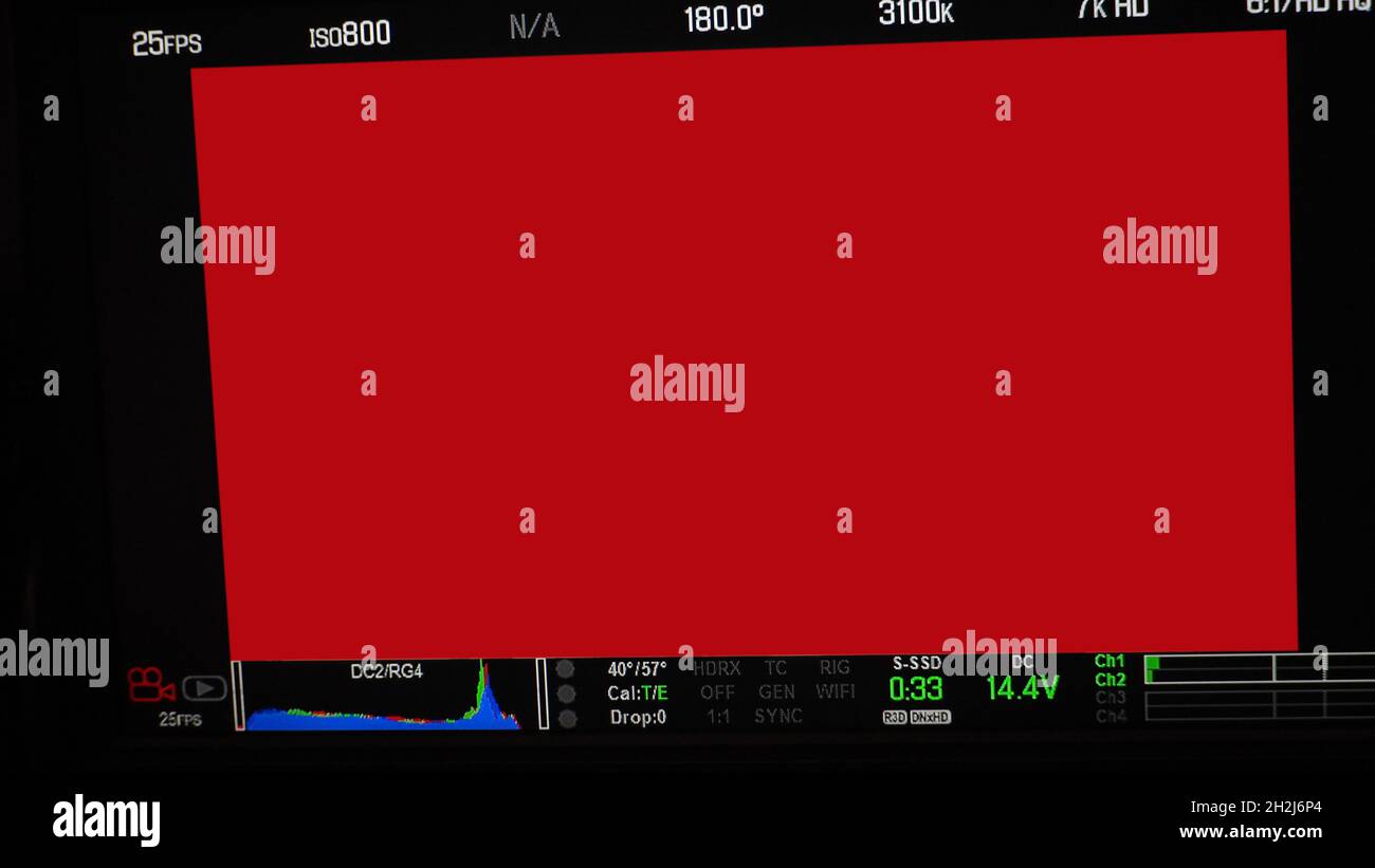 Schermata di registrazione video. Inquadratura del mirino professionale della fotocamera sullo schermo del monitor. Schermata che mostra lo stato del grafico a colori rosso verde blu FPS e numero ISO Foto Stock