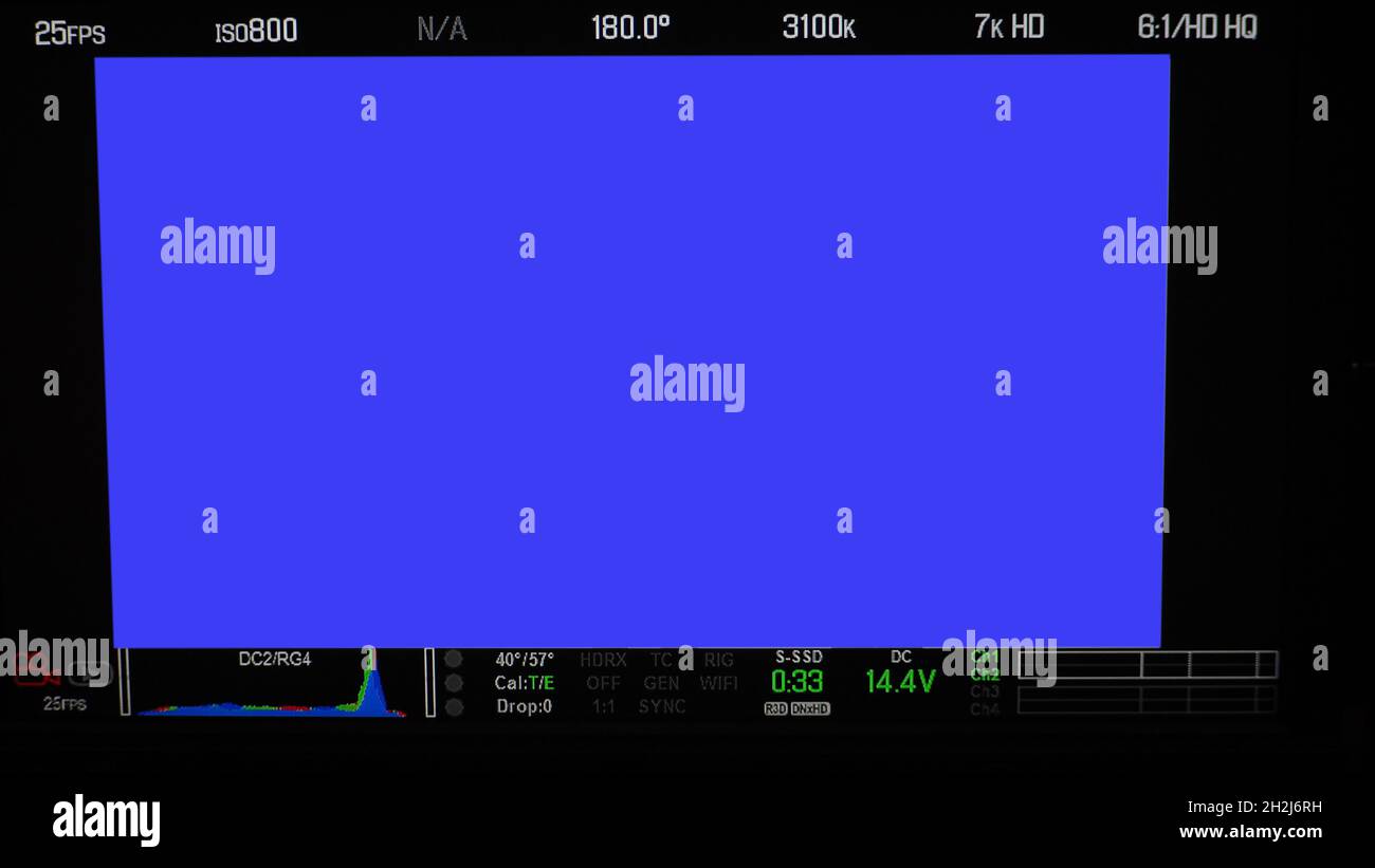 Schermata di registrazione video. Inquadratura del mirino professionale della fotocamera sullo schermo del monitor. Schermata che mostra lo stato del grafico a colori rosso verde blu FPS e numero ISO Foto Stock