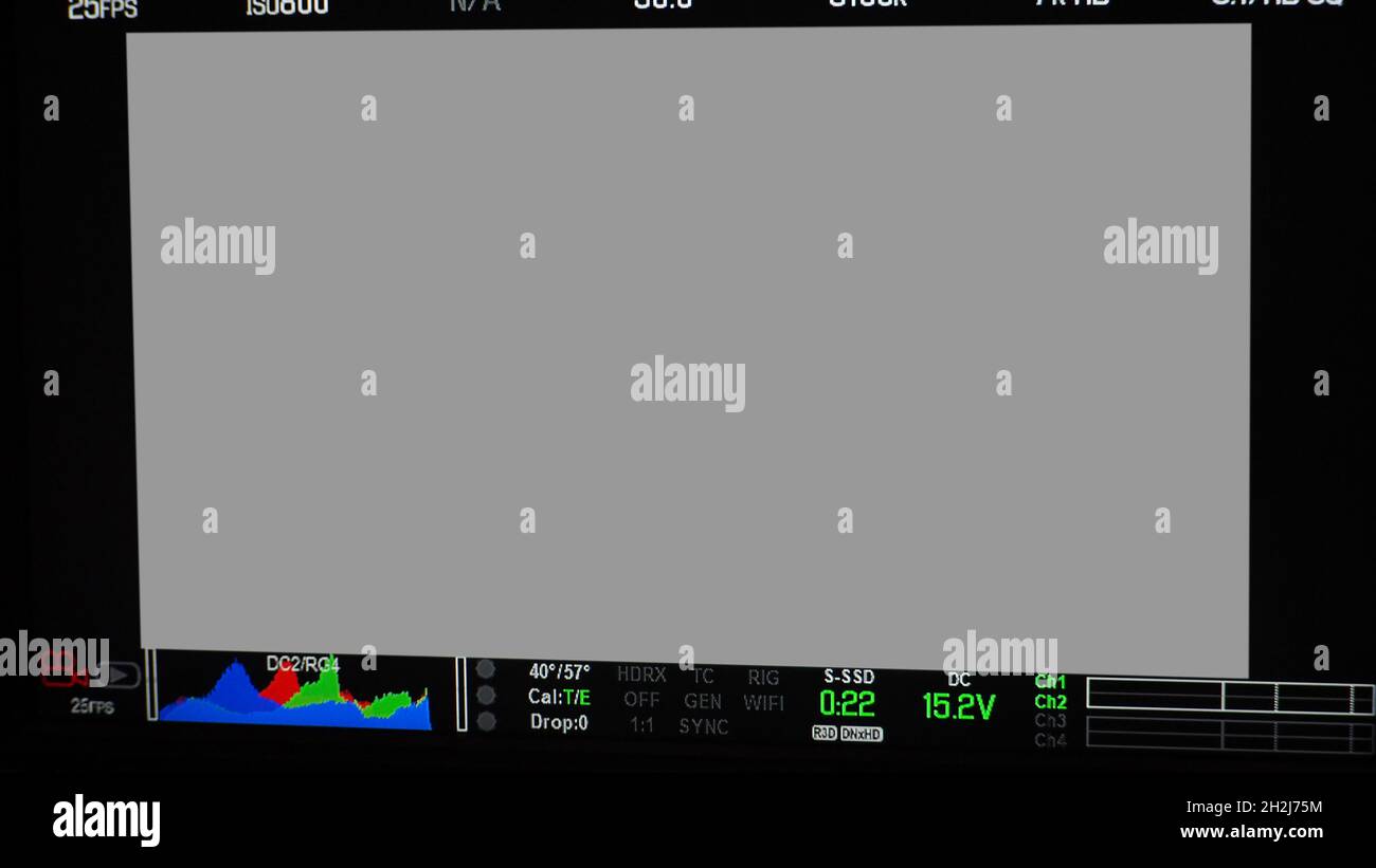 Schermata di registrazione video. Inquadratura del mirino professionale della fotocamera sullo schermo del monitor. Schermata che mostra lo stato del grafico a colori rosso verde blu FPS e numero ISO Foto Stock