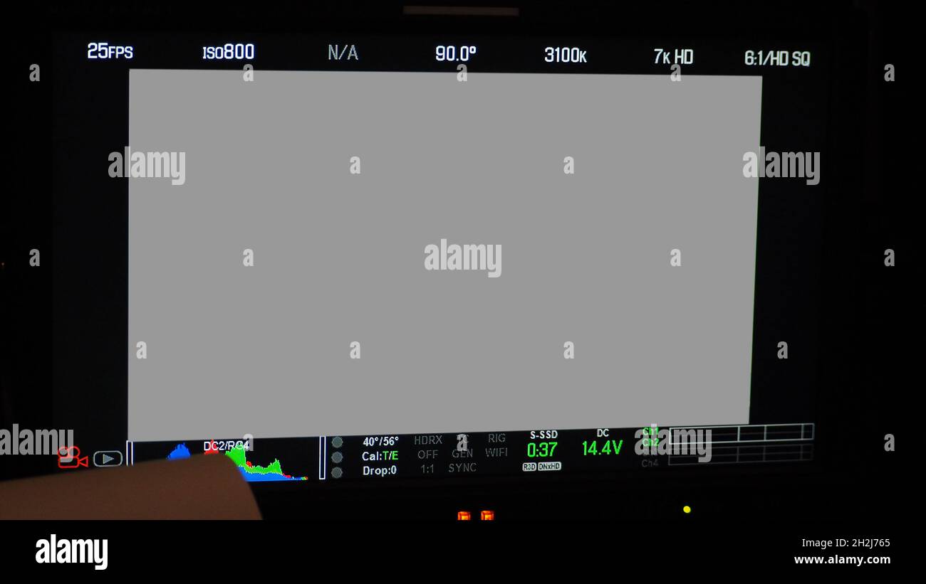 Schermata di registrazione video. Inquadratura del mirino professionale della fotocamera sullo schermo del monitor. Schermata che mostra lo stato del grafico a colori rosso verde blu FPS e numero ISO Foto Stock