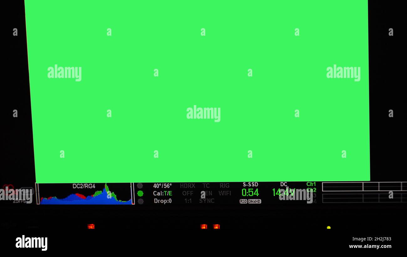 Schermata di registrazione video. Inquadratura del mirino professionale della fotocamera sullo schermo del monitor. Schermata che mostra lo stato del grafico a colori rosso verde blu FPS e numero ISO Foto Stock