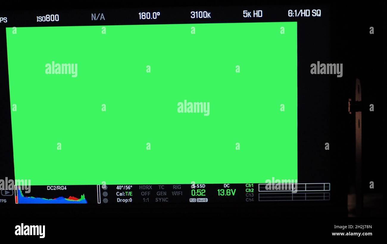 Schermata di registrazione video. Inquadratura del mirino professionale della fotocamera sullo schermo del monitor. Schermata che mostra lo stato del grafico a colori rosso verde blu FPS e numero ISO Foto Stock