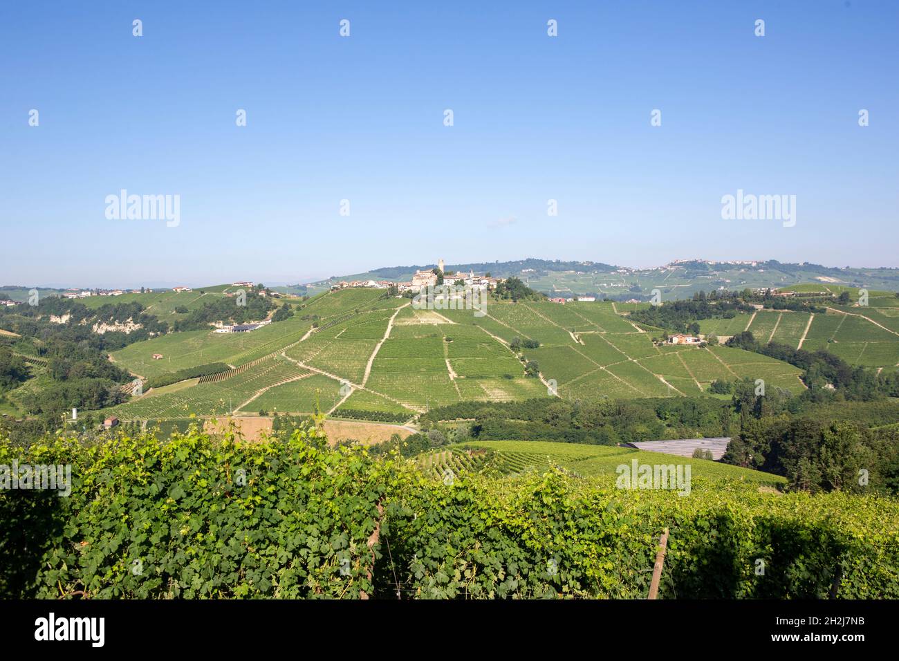Un posto nelle Langhe Foto Stock