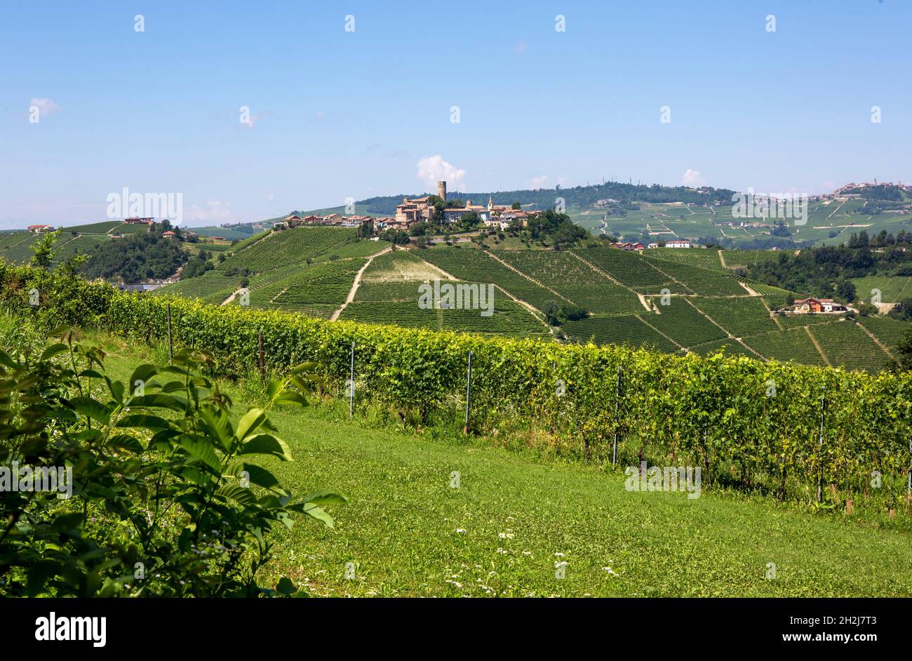 Un posto nelle Langhe Foto Stock