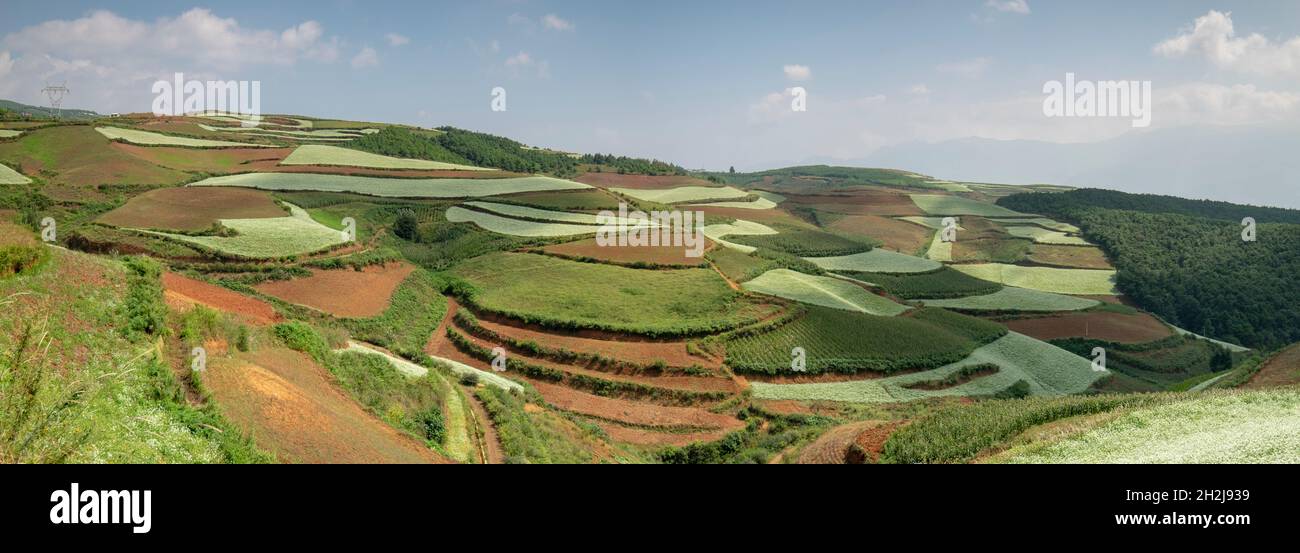 Agricola rurale paesaggio di dolci colline con campi di varie colture. Fotografato vicino a Kumming, nella provincia dello Yunnan nel sud-ovest della Cina nel mese di settembre Foto Stock