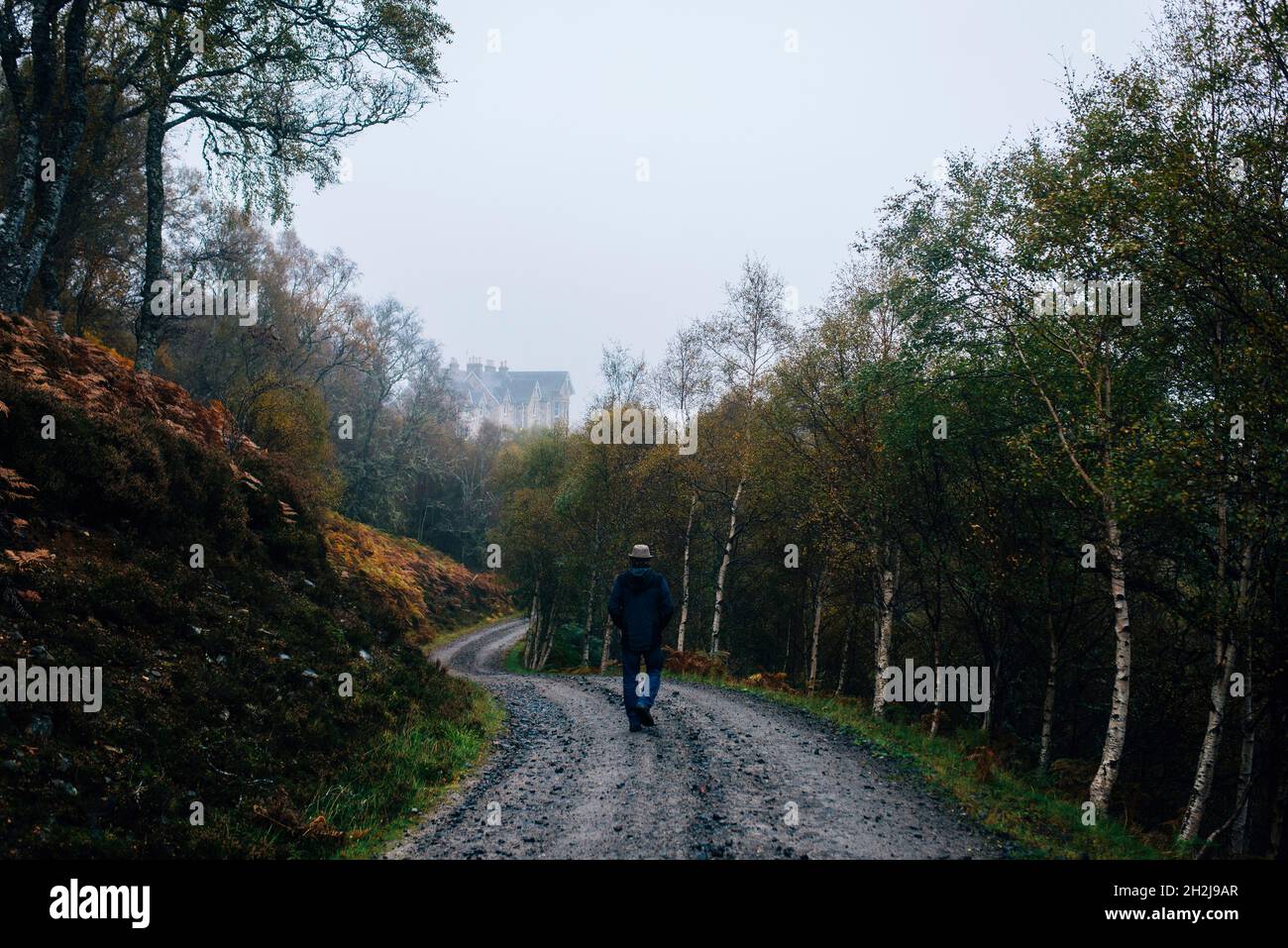 la figura solitaria di un uomo solitario che percorre un sentiero attraverso una foresta in una serata autunnale misteriosa e mite Foto Stock