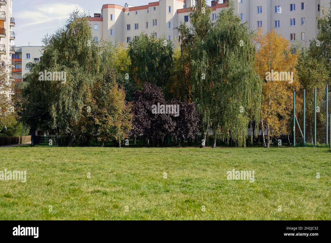 Vari alberi crescono densamente dal prato vicino agli edifici di appartamenti nel quartiere residenziale di Goclaw. Foto Stock
