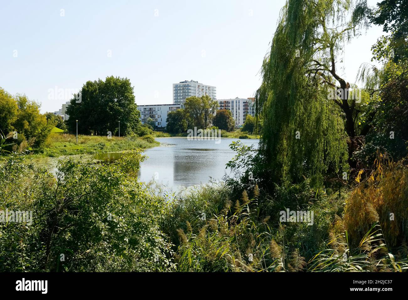 Lago con piante sulla riva è un parco naturale al centro del distretto abitativo di Goclaw a Varsavia in Polonia. Foto Stock