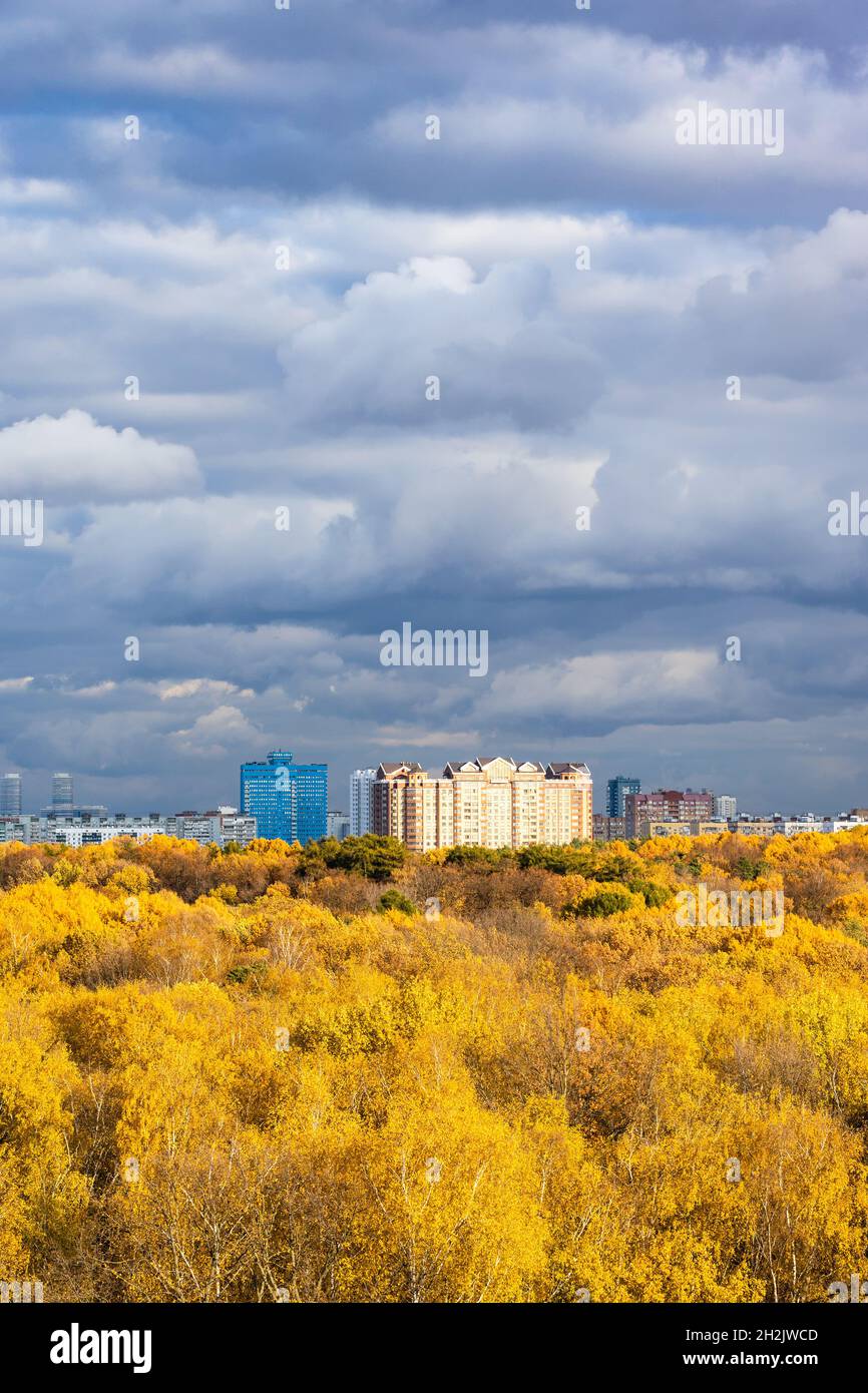 le nuvole di pioggia grigio scuro nel cielo blu sopra la lussureggiante foresta gialla e le moderne e alte case di appartamenti illuminate dal sole il giorno d'autunno prima della pioggia Foto Stock