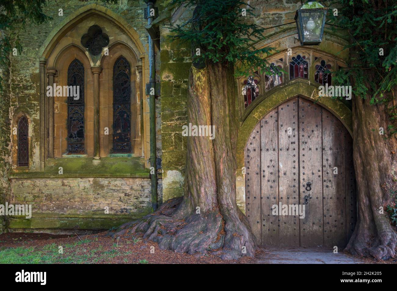 La porta nord della chiesa di St Edward con due antichi alberi di tasso che crescono su entrambi i lati, Stow on the Wold, Gloucestershire. Foto Stock