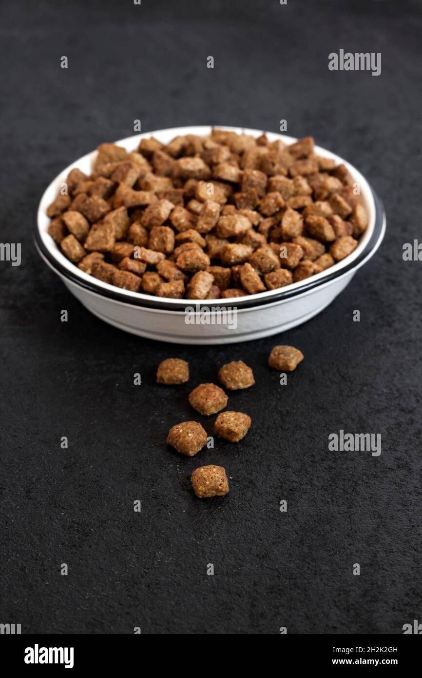 Asciugare gli alimenti per animali domestici in un recipiente in ceramica bianca su sfondo nero con spazio per la copia Foto Stock