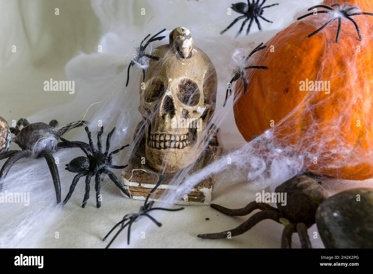 decorazione e concetto di festa, tema di halloween, zucca arancione e cranio avvolto in ragnatela, attacco ragno, festa di halloween Foto Stock