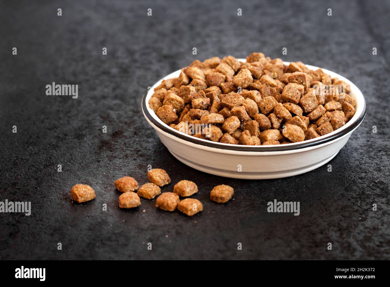 Asciugare gli alimenti per animali domestici in un recipiente in ceramica bianca su sfondo nero con spazio per la copia Foto Stock
