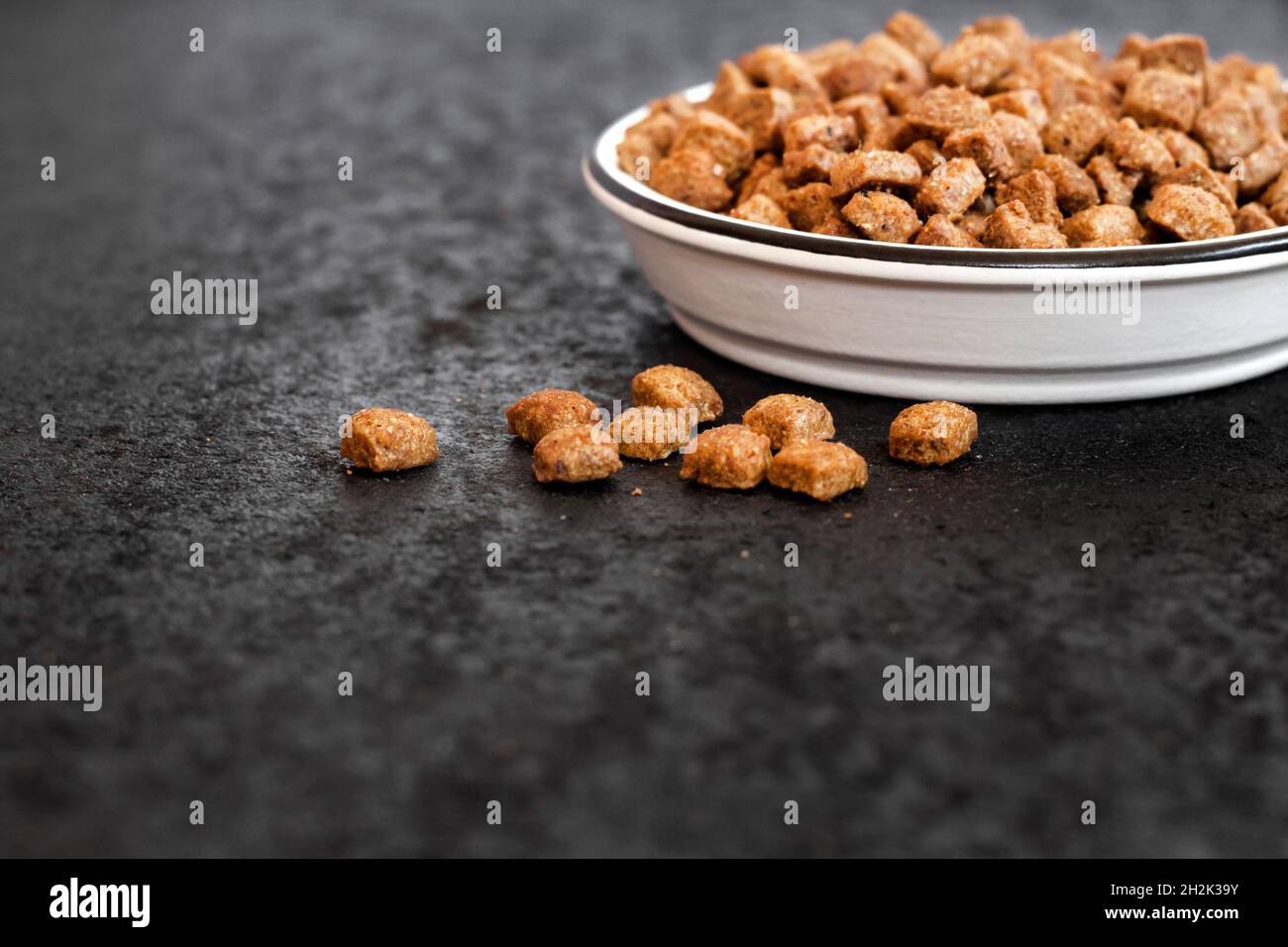 Asciugare gli alimenti per animali domestici in un recipiente in ceramica bianca su sfondo nero con spazio per la copia Foto Stock