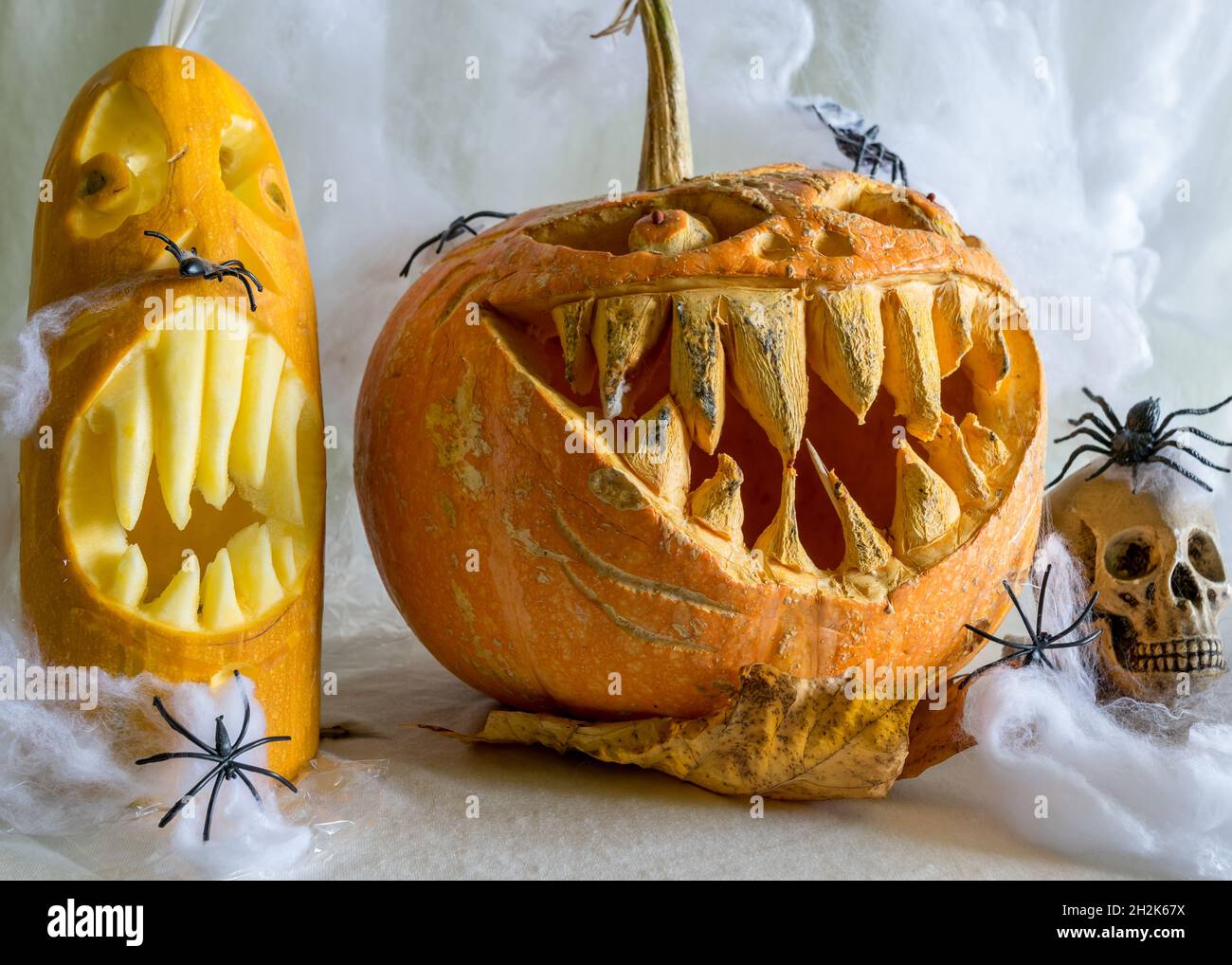 Tema di Halloween, zucca scolpita con un sorriso spaventoso, ragni, cranio, sfondo bianco ragno web, decorazione e concetto di vacanza, zucca scolpita per un Foto Stock