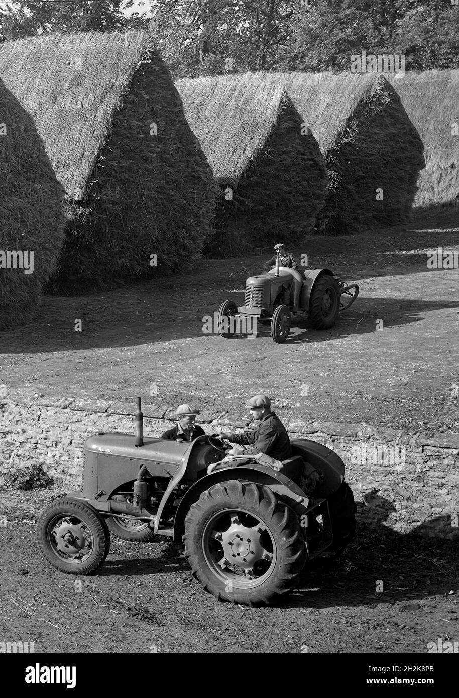 Lavoratori agricoli con trattori e fiasche accatastate Gran Bretagna anni '50 Foto Stock