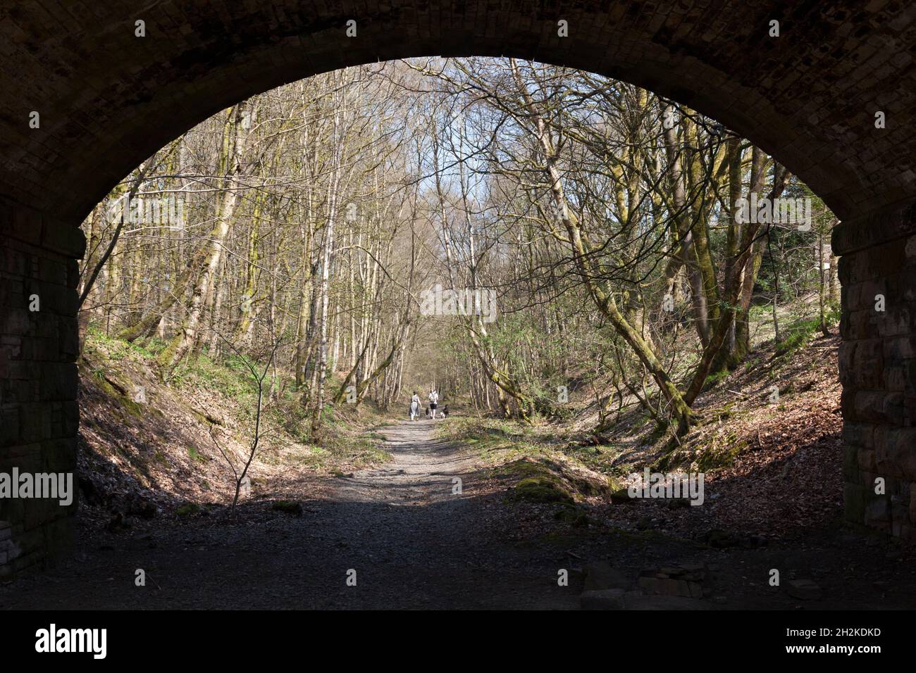 Coppia con cani a piedi lungo la ferrovia Disused Rishworth Branch, Sowerby Bridge, West Yorkshire Foto Stock
