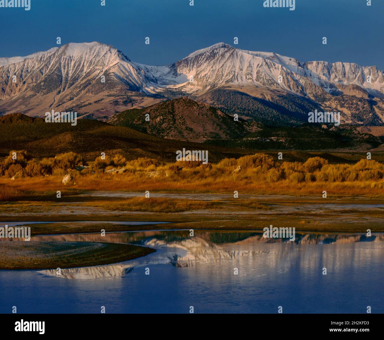 Dawn, Mount Gibbs, Mount Dana, Mono Lake, Mono Basin National Forest Scenic Area, Inyo National Forest, California Foto Stock