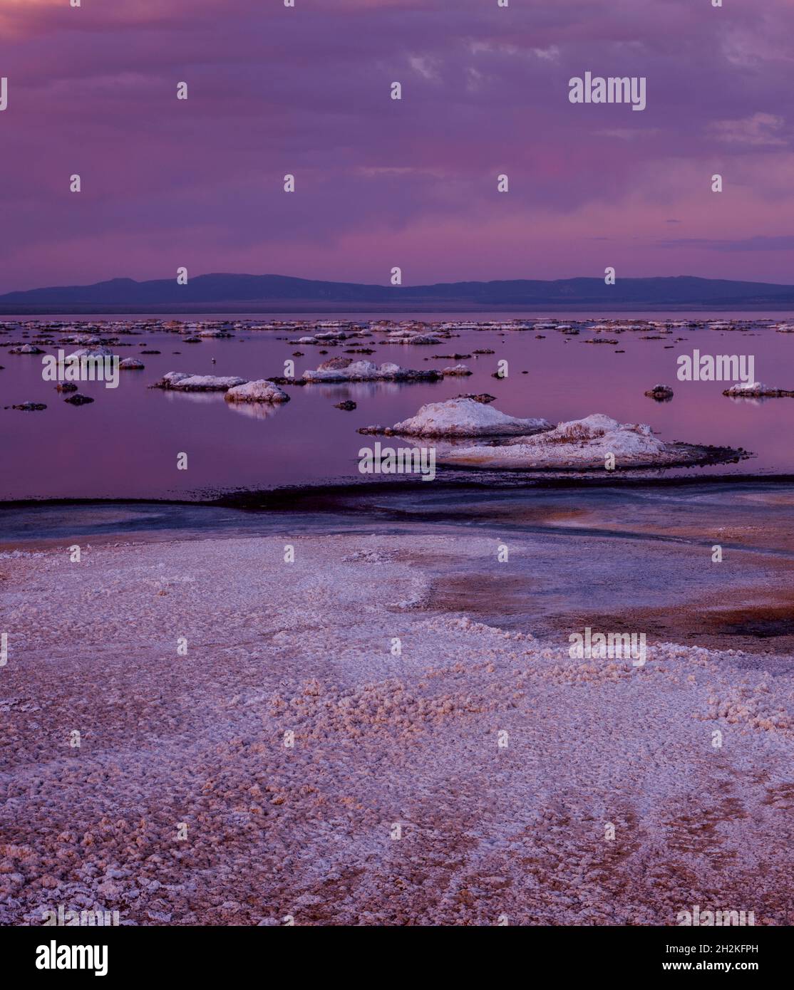 Tramonto, Salt Flat, Lago Mono, Area Scenica della Foresta Nazionale di Mono Basin, Foresta Nazionale di Inyo, Sierra Orientale, California Foto Stock