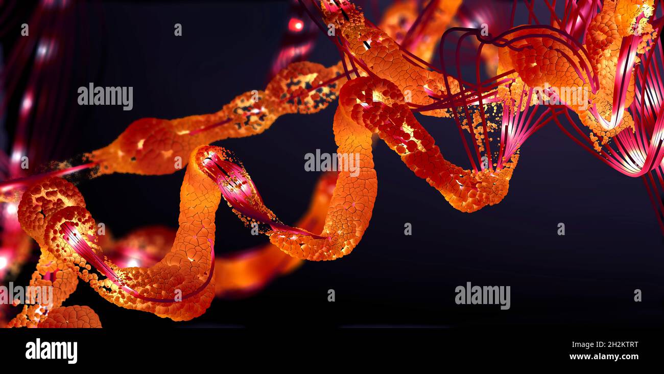 Proteina, illustrazione Foto Stock