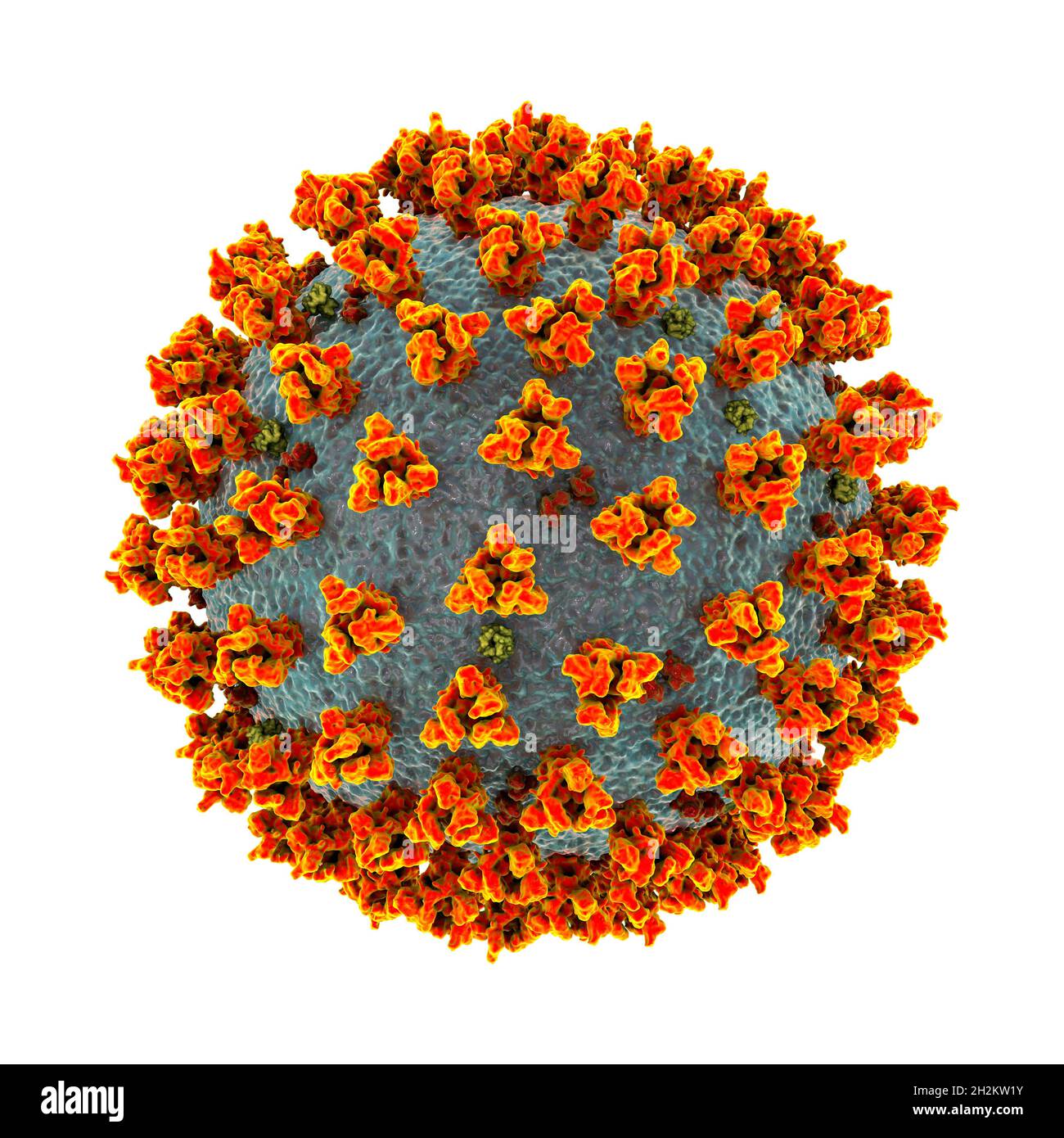 Covid-19 particelle di coronavirus, illustrazione Foto Stock