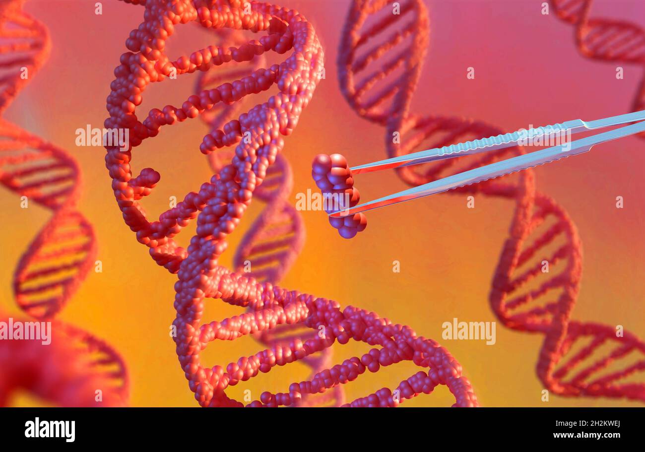 Illustrazione di DNA editing Foto Stock