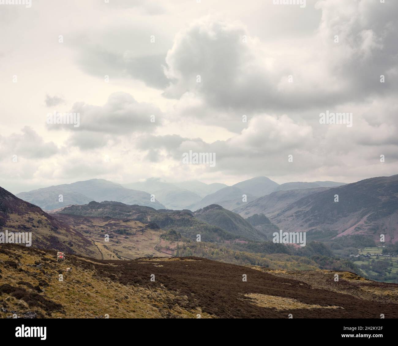 The Jaws of Borrowdale from Walla Crag in a Moody Day, Lake District, UK Foto Stock
