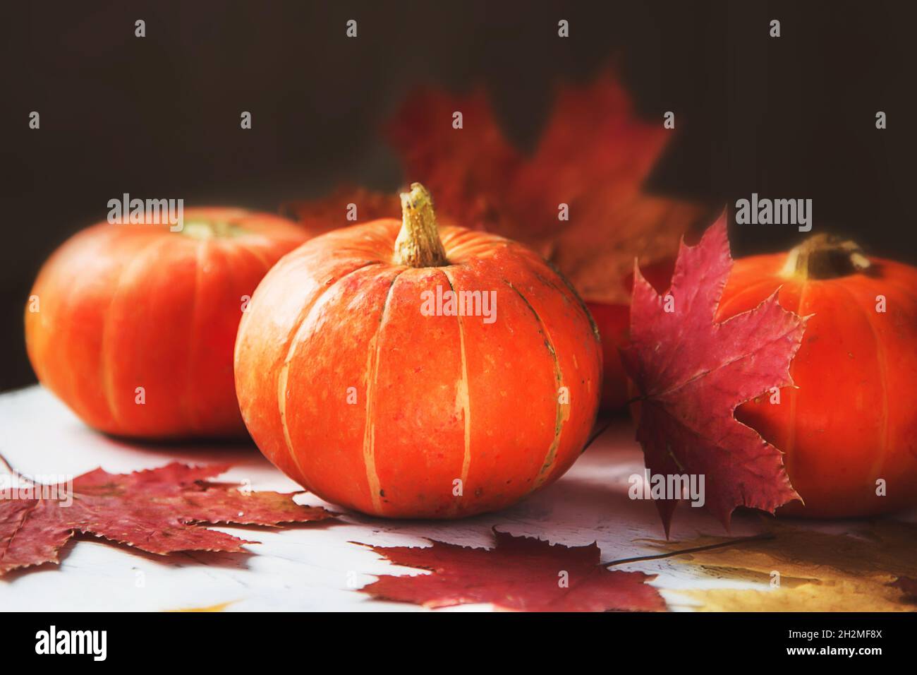 Pumpkins di Halloween o di ringraziamento con foglie d'autunno Foto Stock